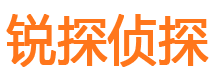 宛城市侦探调查公司